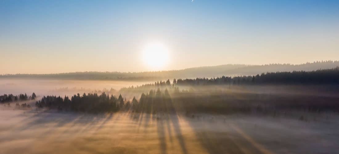 What Time of Day is Best for Therapy?